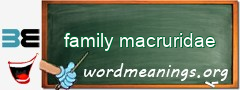 WordMeaning blackboard for family macruridae